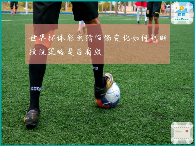 世界杯体彩竞猜临场变化如何判断投注策略是否有效