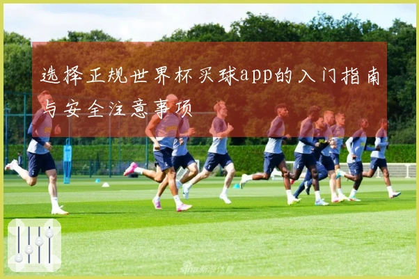 选择正规世界杯买球app的入门指南与安全注意事项