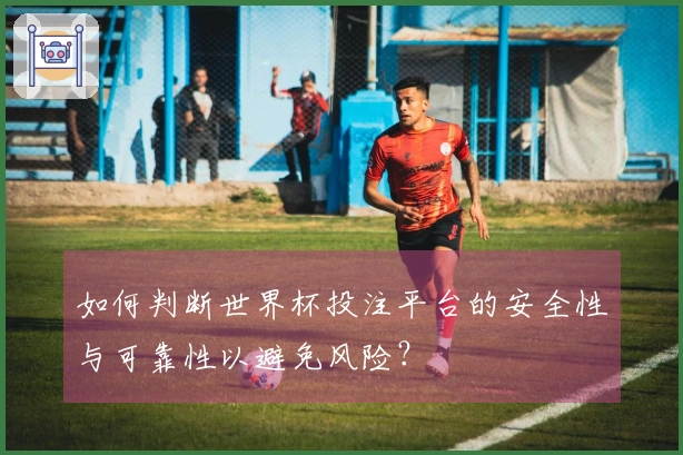 如何判断世界杯投注平台的安全性与可靠性以避免风险？