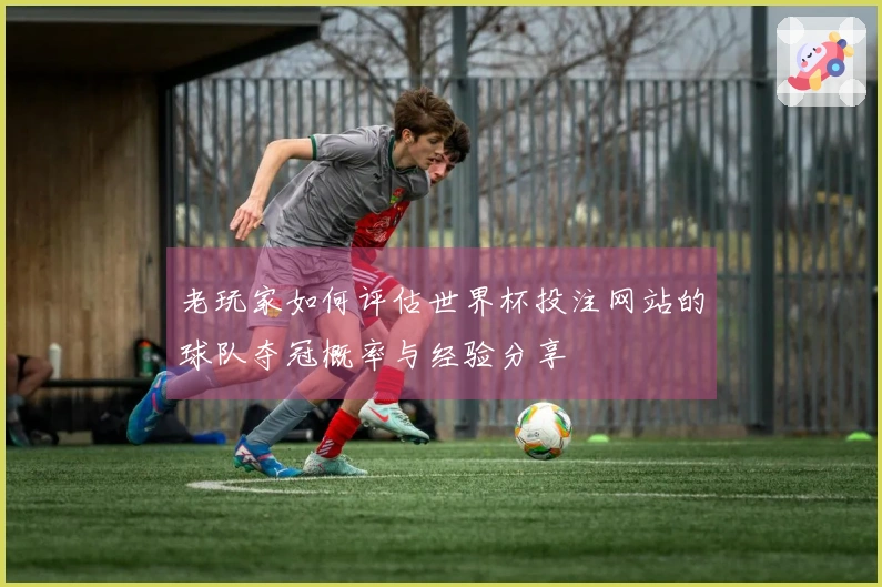 老玩家如何评估世界杯投注网站的球队夺冠概率与经验分享
