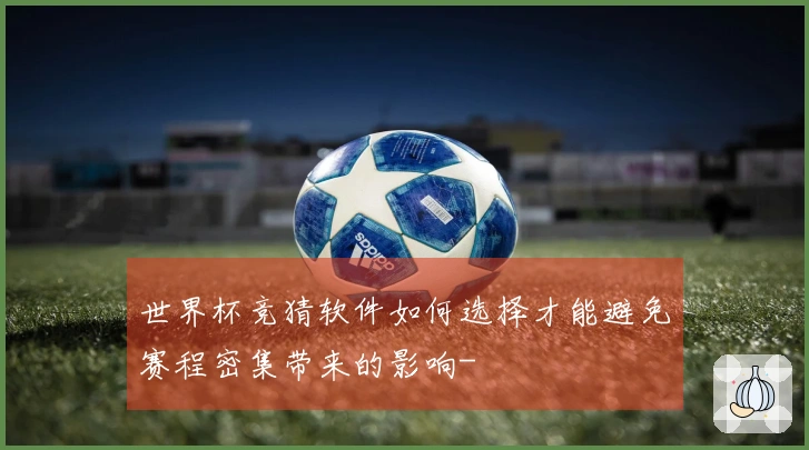 世界杯竞猜软件如何选择才能避免赛程密集带来的影响-