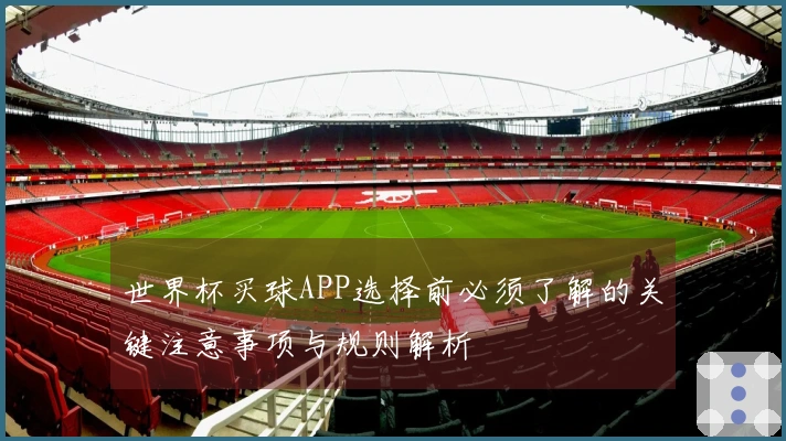 世界杯买球APP选择前必须了解的关键注意事项与规则解析