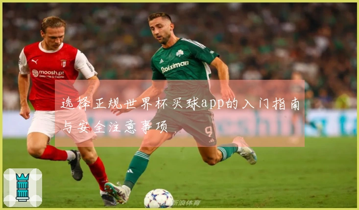 选择正规世界杯买球app的入门指南与安全注意事项
