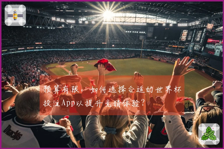 预算有限，如何选择合适的世界杯投注App以提升竞猜体验？