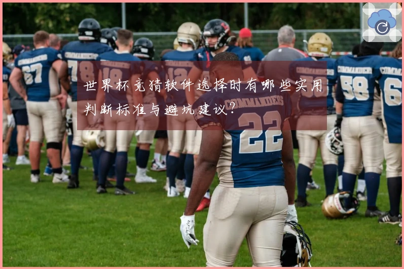 世界杯竞猜软件选择时有哪些实用判断标准与避坑建议？