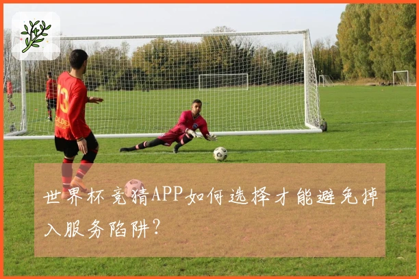世界杯竞猜APP如何选择才能避免掉入服务陷阱？