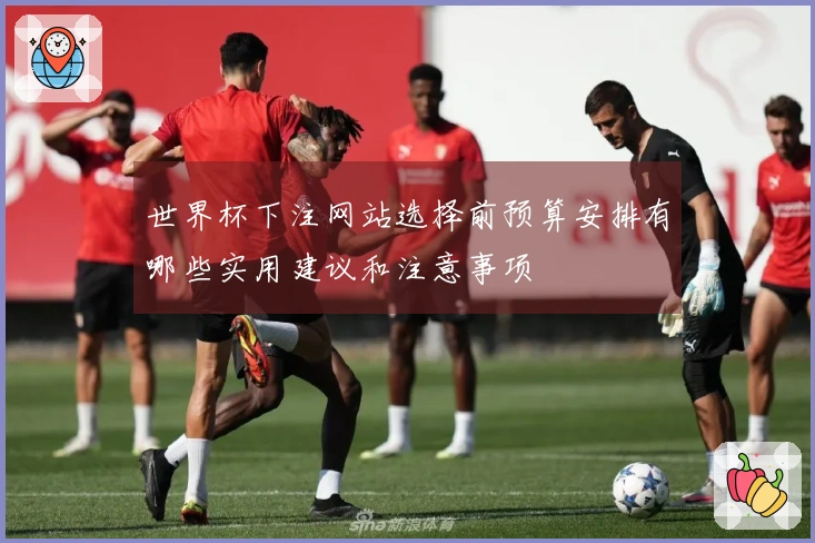 世界杯下注网站选择前预算安排有哪些实用建议和注意事项