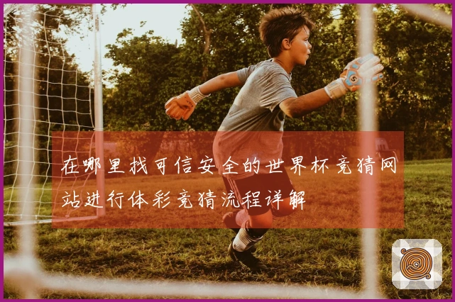 在哪里找可信安全的世界杯竞猜网站进行体彩竞猜流程详解
