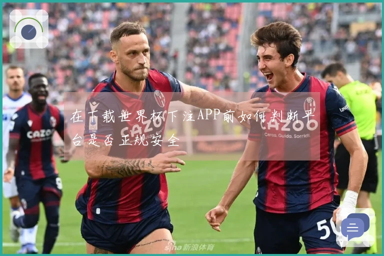 在下载世界杯下注APP前如何判断平台是否正规安全