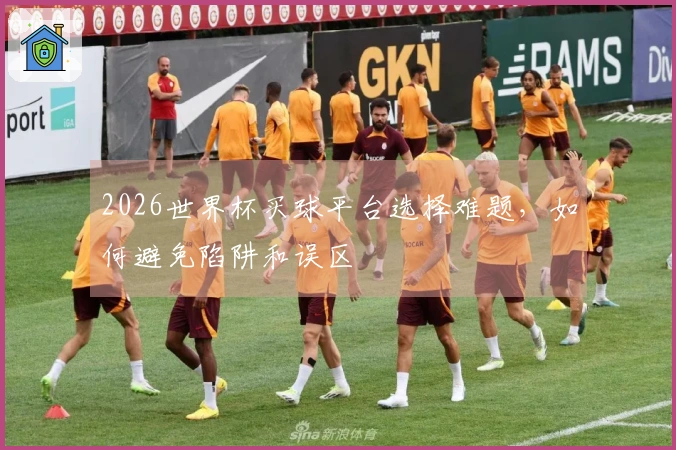 2026世界杯买球平台选择难题，如何避免陷阱和误区