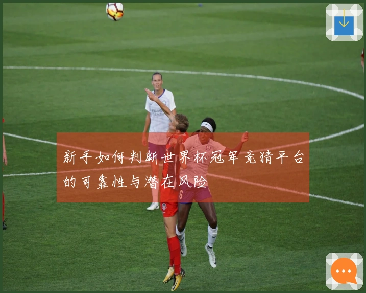 新手如何判断世界杯冠军竞猜平台的可靠性与潜在风险