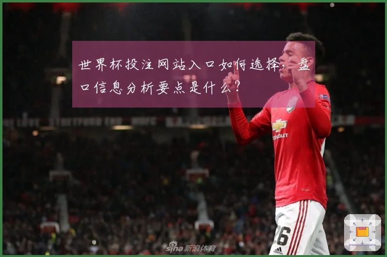 世界杯投注网站入口如何选择，盘口信息分析要点是什么？