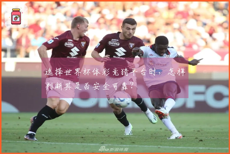 选择世界杯体彩竞猜平台时，怎样判断其是否安全可靠？