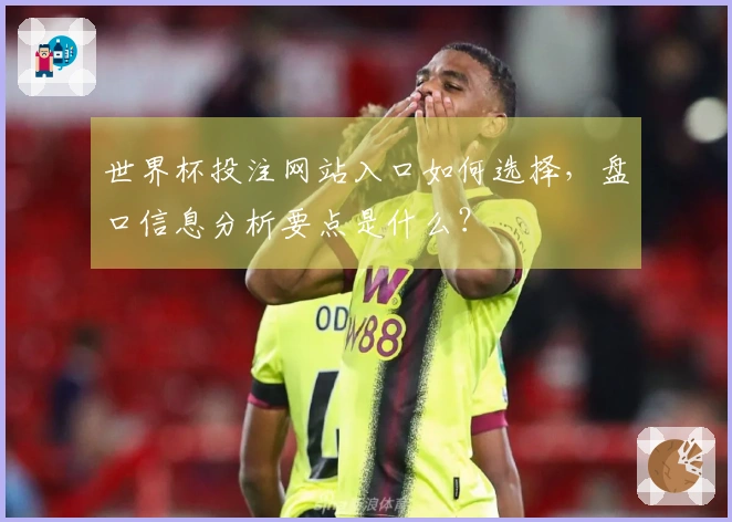 世界杯投注网站入口如何选择，盘口信息分析要点是什么？