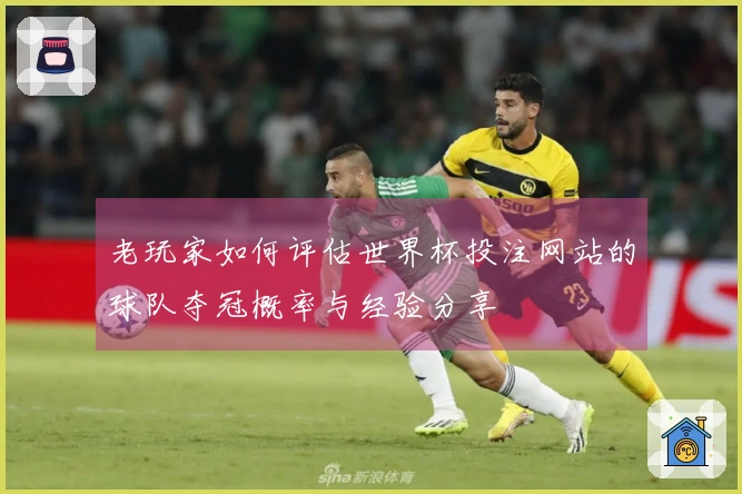 老玩家如何评估世界杯投注网站的球队夺冠概率与经验分享