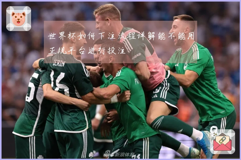 世界杯如何下注流程详解能不能用正规平台进行投注
