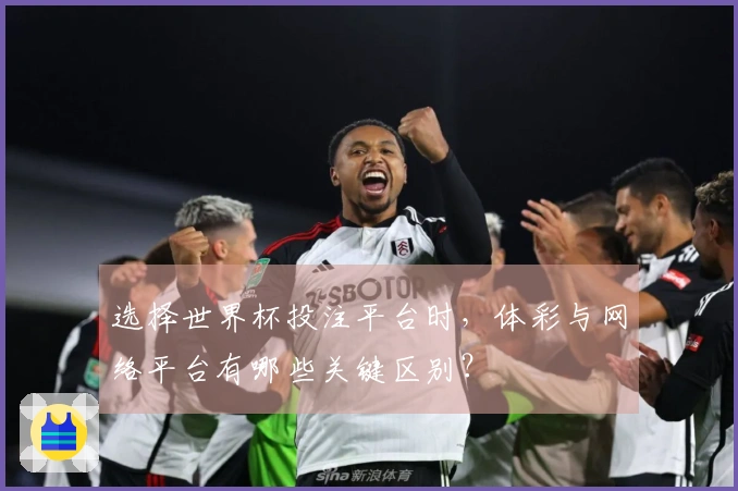 选择世界杯投注平台时，体彩与网络平台有哪些关键区别？