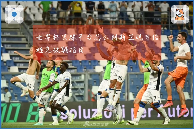 世界杯买球平台怎么判断正规可信避免被骗指南
