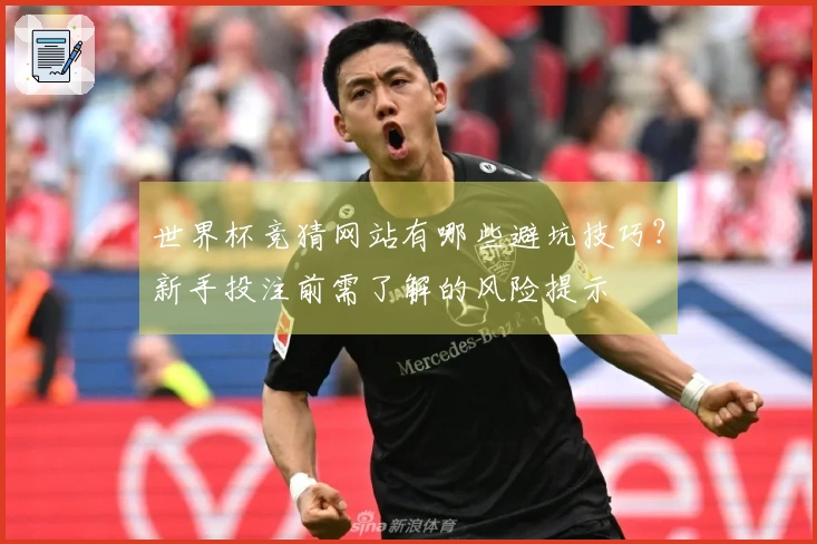 世界杯竞猜网站有哪些避坑技巧？新手投注前需了解的风险提示