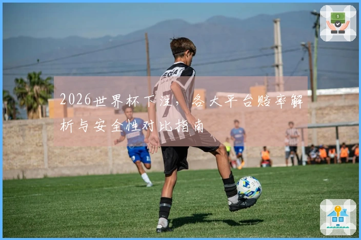 2026世界杯下注，各大平台赔率解析与安全性对比指南