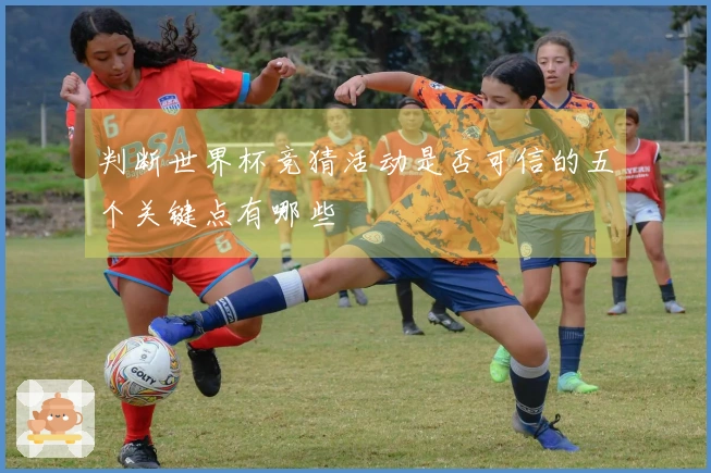 判断世界杯竞猜活动是否可信的五个关键点有哪些