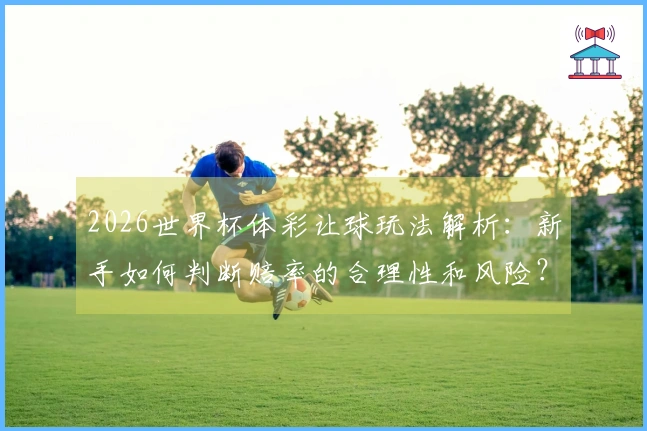 2026世界杯体彩让球玩法解析：新手如何判断赔率的合理性和风险？