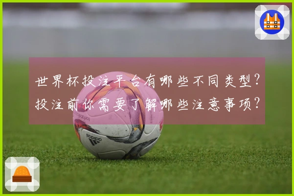 世界杯投注平台有哪些不同类型？投注前你需要了解哪些注意事项？