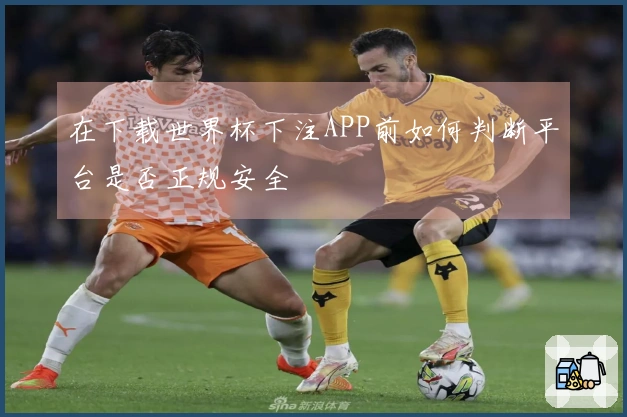 在下载世界杯下注APP前如何判断平台是否正规安全