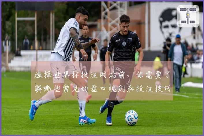 选择世界杯投注网站前，你需要了解哪些常见的盘口规则和投注技巧