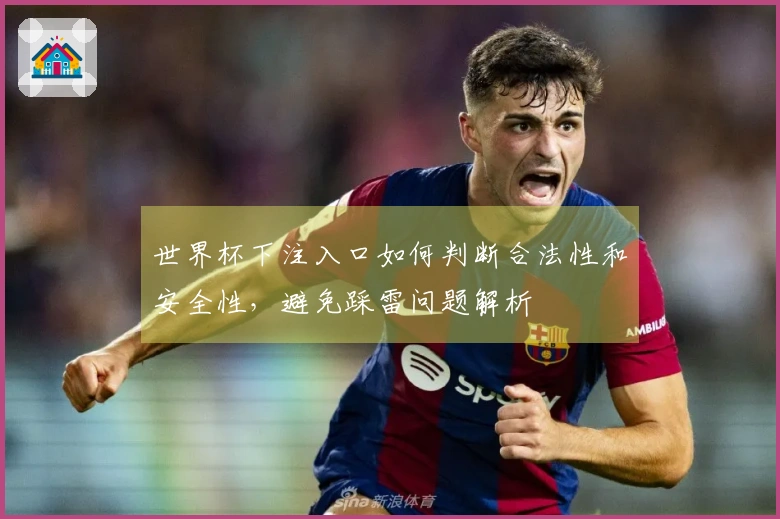 世界杯下注入口如何判断合法性和安全性，避免踩雷问题解析