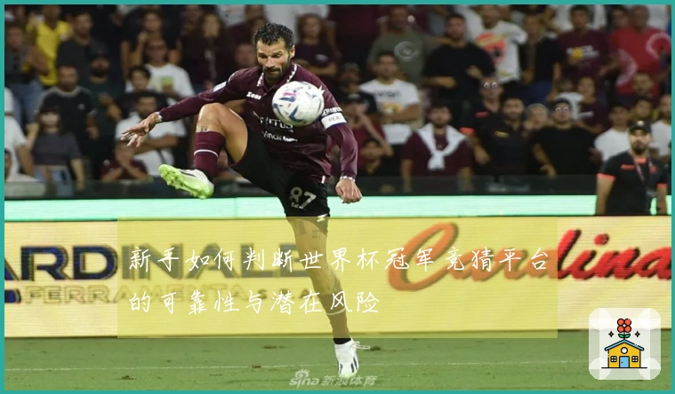 新手如何判断世界杯冠军竞猜平台的可靠性与潜在风险