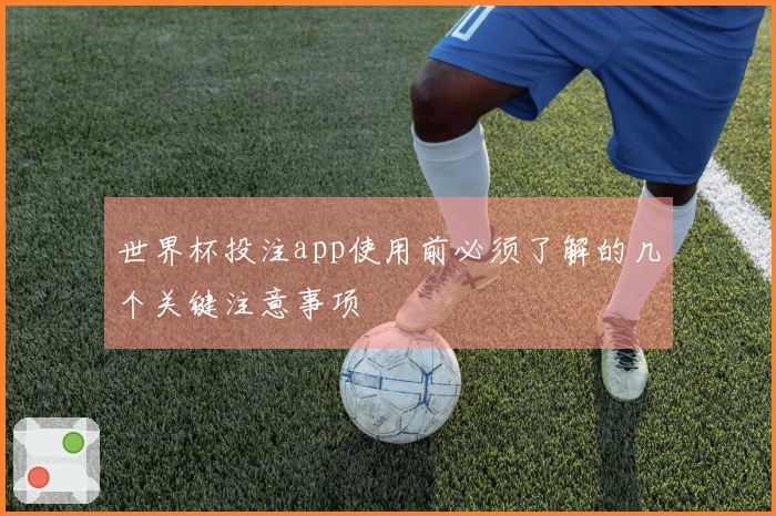 世界杯投注app使用前必须了解的几个关键注意事项