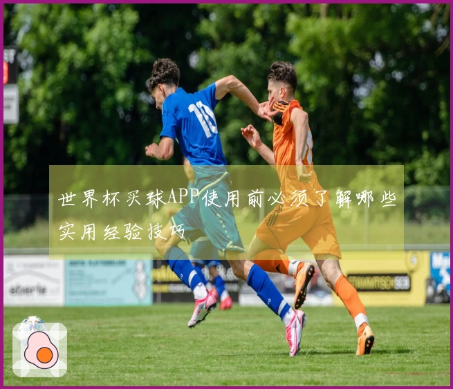 世界杯买球APP使用前必须了解哪些实用经验技巧