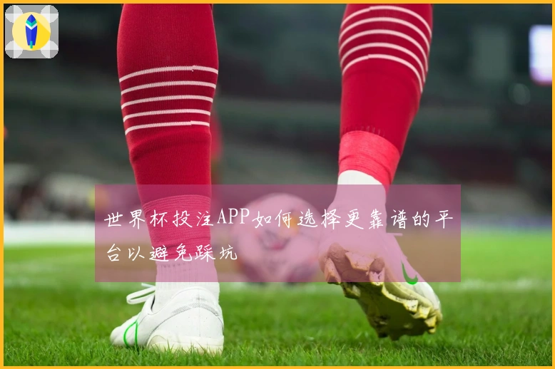 世界杯投注APP如何选择更靠谱的平台以避免踩坑