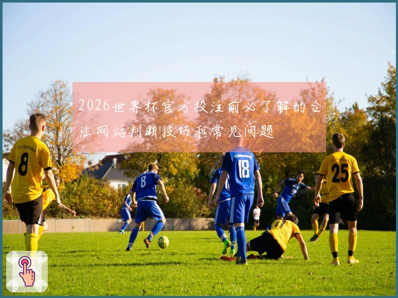 2026世界杯官方投注前必了解的合法网站判断技巧和常见问题