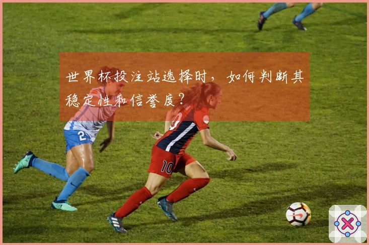 世界杯投注站选择时，如何判断其稳定性和信誉度？