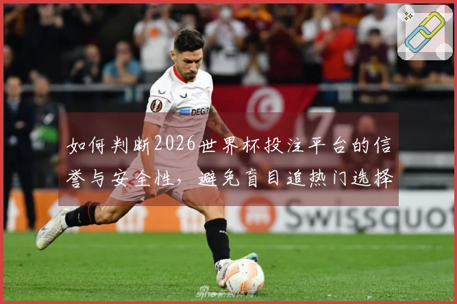 如何判断2026世界杯投注平台的信誉与安全性，避免盲目追热门选择？