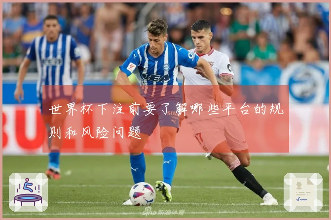 世界杯下注前要了解哪些平台的规则和风险问题