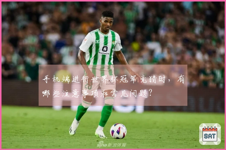 手机端进行世界杯冠军竞猜时，有哪些注意事项和常见问题？