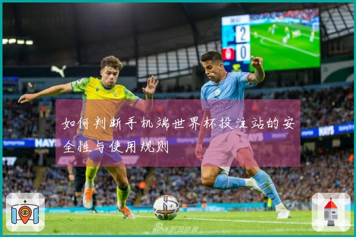 如何判断手机端世界杯投注站的安全性与使用规则