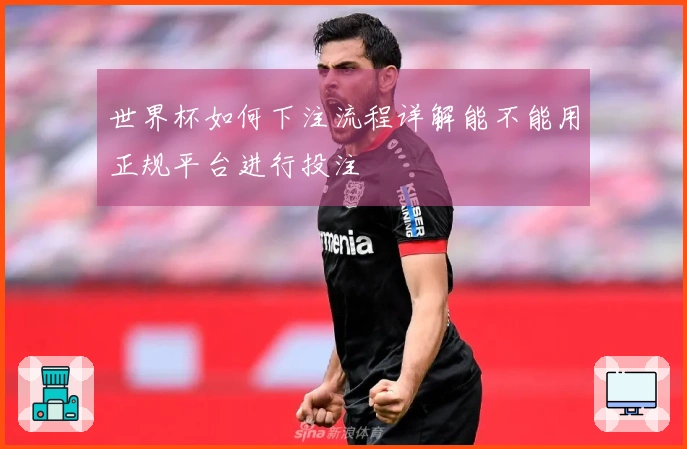 世界杯如何下注流程详解能不能用正规平台进行投注