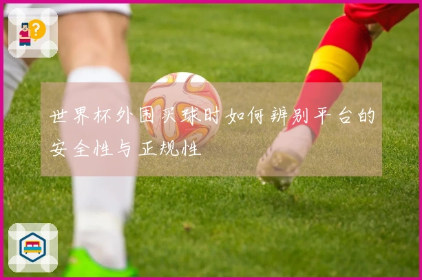 世界杯外围买球时如何辨别平台的安全性与正规性