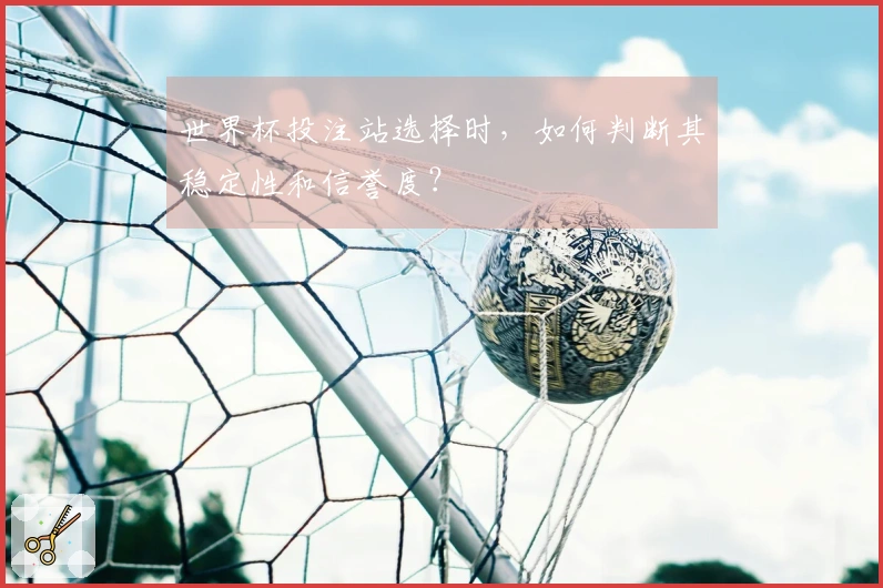 世界杯投注站选择时，如何判断其稳定性和信誉度？