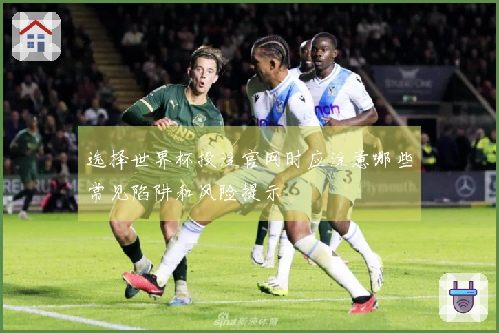 选择世界杯投注官网时应注意哪些常见陷阱和风险提示