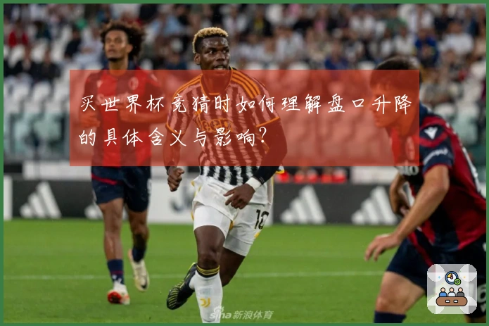 买世界杯竞猜时如何理解盘口升降的具体含义与影响？