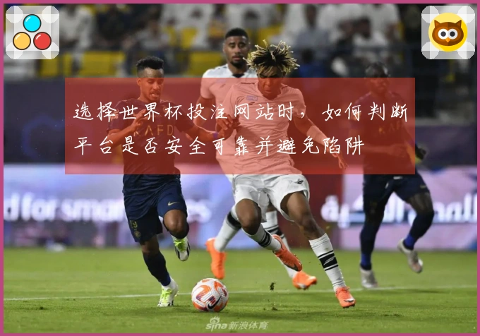 选择世界杯投注网站时，如何判断平台是否安全可靠并避免陷阱