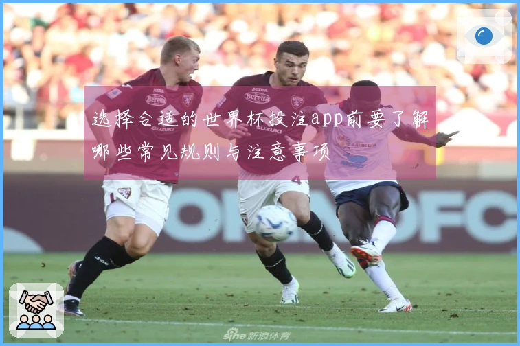 选择合适的世界杯投注app前要了解哪些常见规则与注意事项